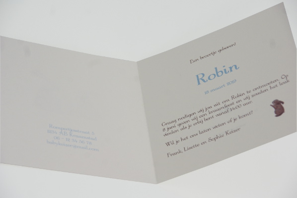 geboortekaartje robin lichtblauw